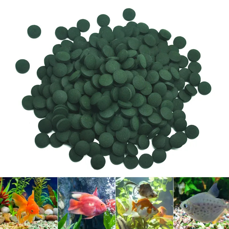100-3000pc High Purity Spiruli - đánh giá và giá Spirulina Tablet Organic