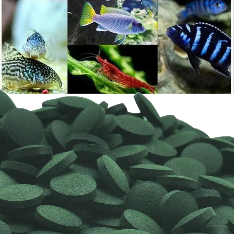 50/100/300/500pcs Spirulina Ta - đánh giá và giá Spirulina Tablet Organic