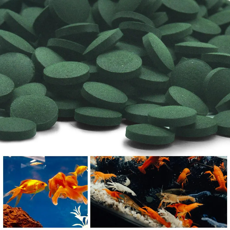 100/500/1000pcs High Purity Sp - đánh giá và giá Spirulina Tablet Organic