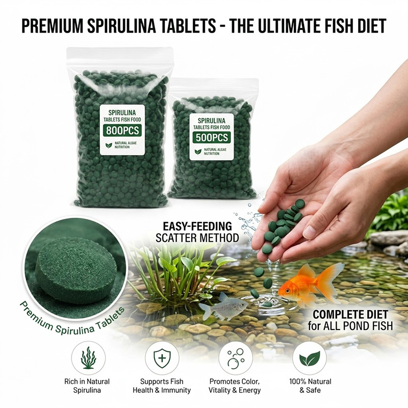 SIKEZHAN High Purity Spirulina - đánh giá và giá Spirulina Tablet Organic