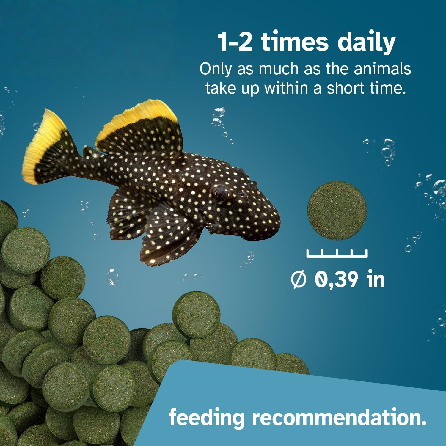 High Purity Spirulina Tablets  - đánh giá và giá Spirulina Tablet Organic